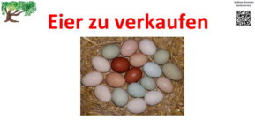 Eier Verkauf von Gartenservice Andreas Brummer