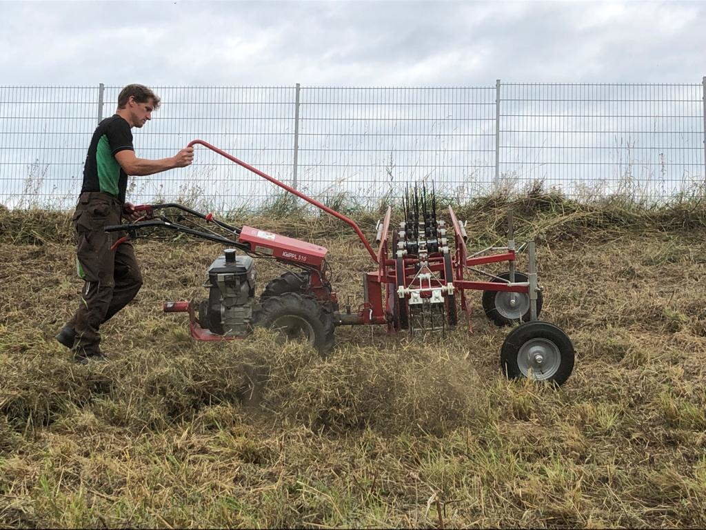 Anlage und Pflege von Ausgleichsflächen